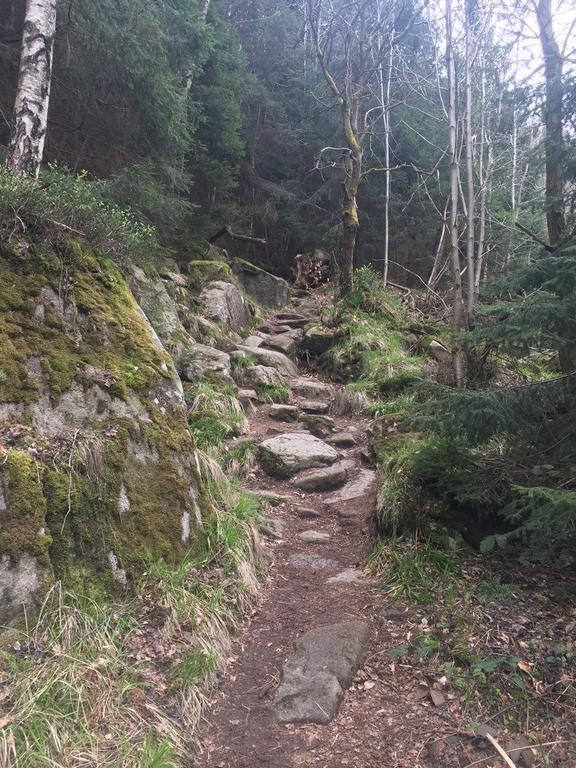 Blockhaus an der Skiwiese Braunlage Exterior foto