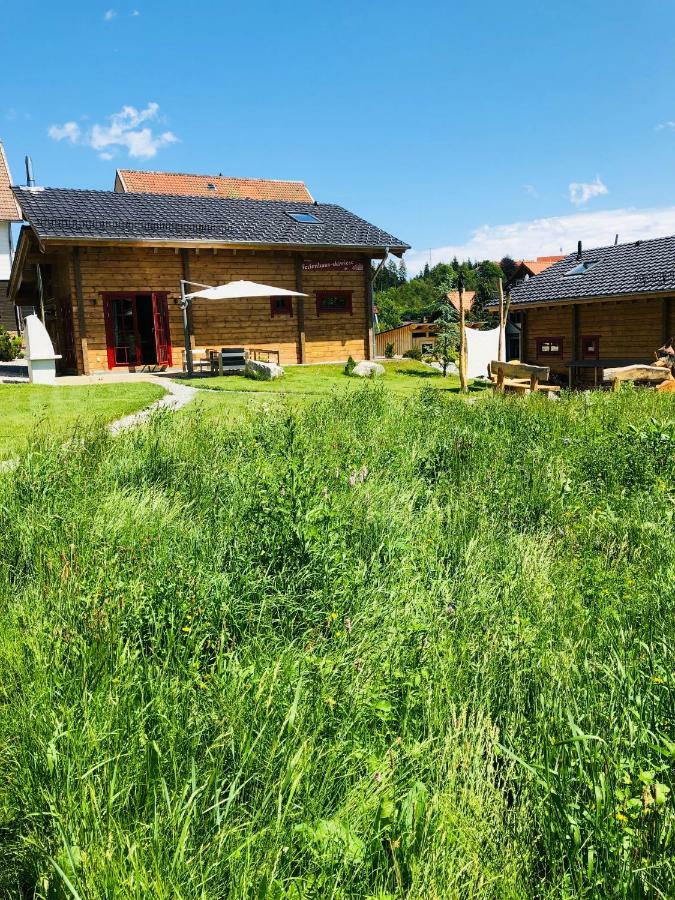 Blockhaus an der Skiwiese Braunlage Exterior foto